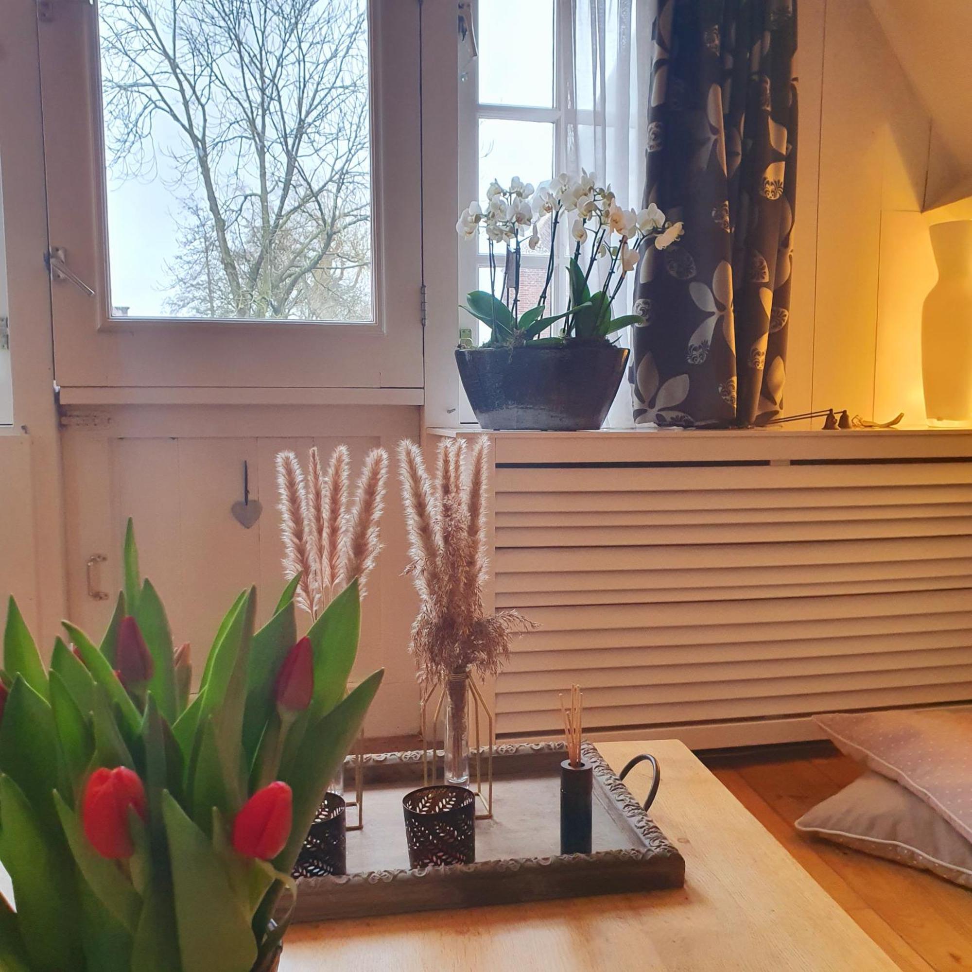 Bed & Bike De Rijp Bed & Breakfast Luaran gambar